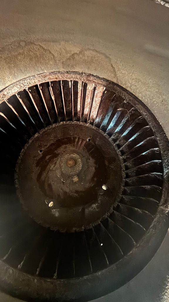 Rueda del blower con suciedad acumulada